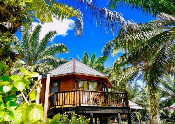 Perfect Forest Eco-Resort