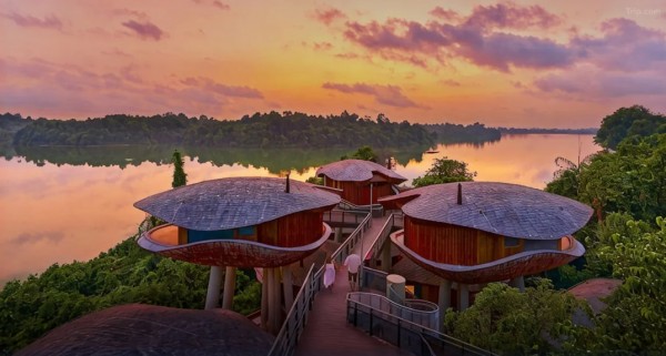 Banyan Tree Rainforest, Wantai